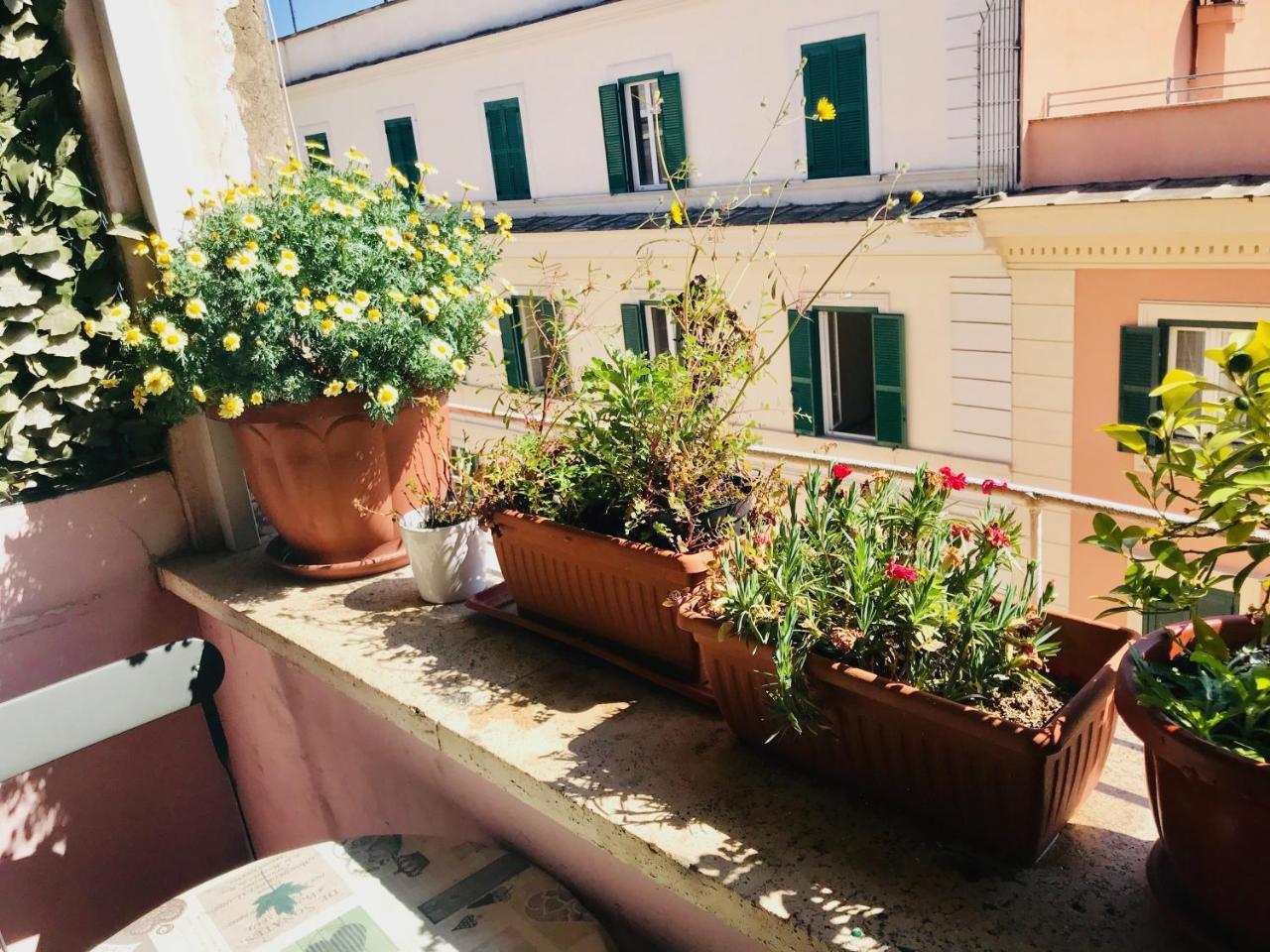 When In Rome Accommodation Dış mekan fotoğraf